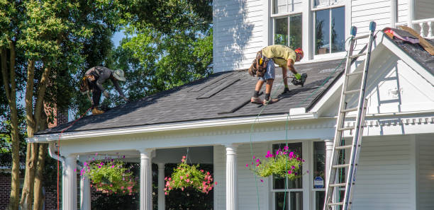Best Roof Replacement  in Franklin, MI